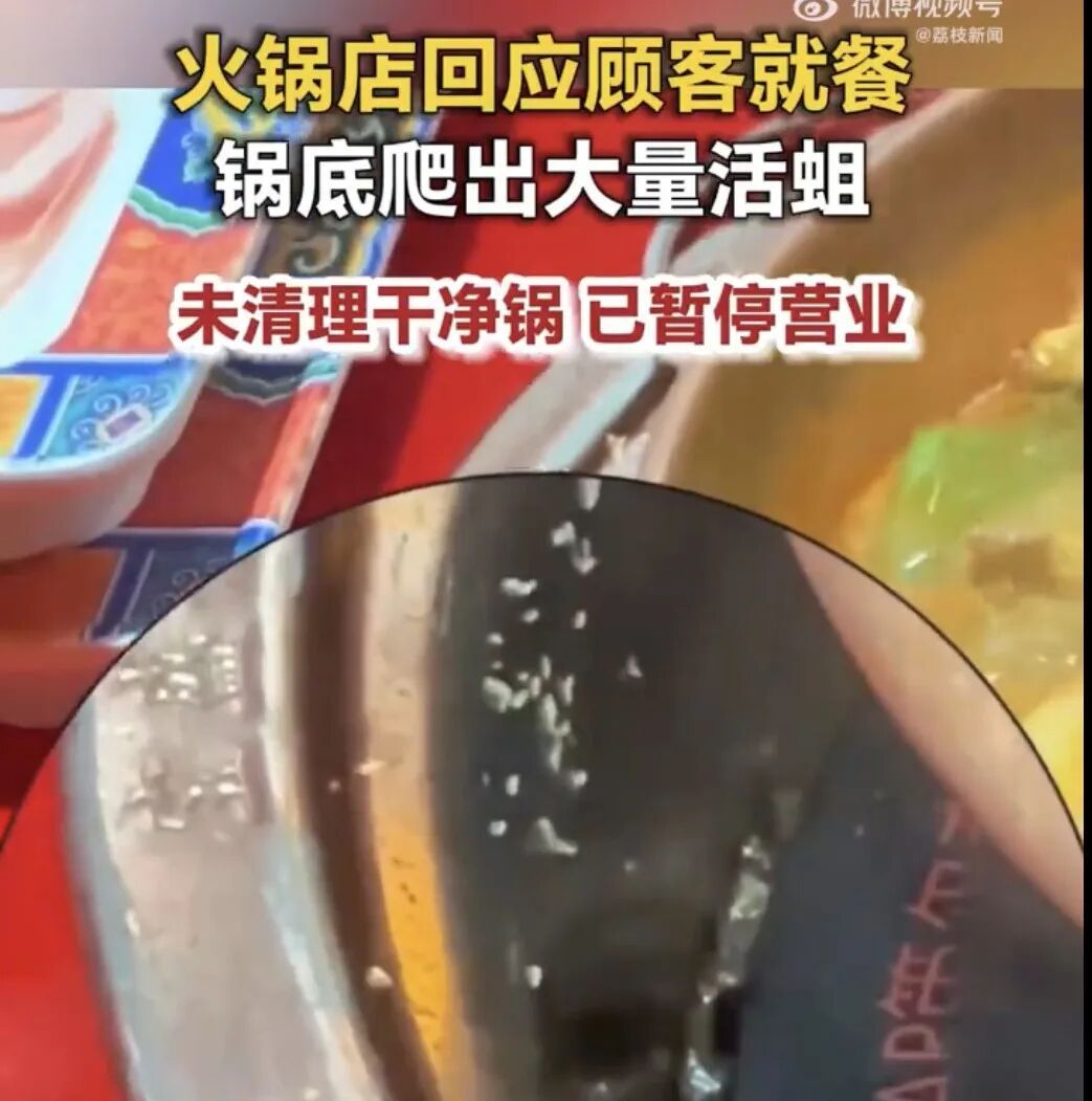 山东青岛一火锅店锅底爬出大量活蛆,当地通报 山东青岛一火锅店锅底爬出大量活蛆,当地通报