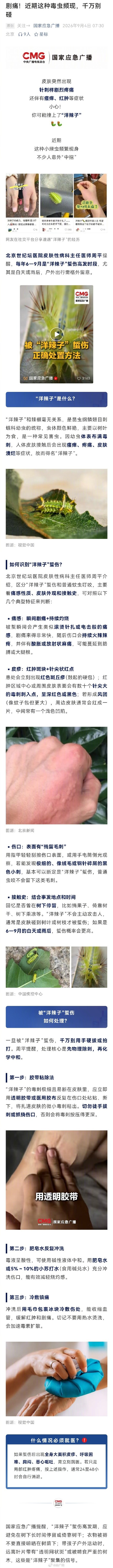 近期这种毒虫频现千万别碰 近期这种毒虫频现千万别碰
