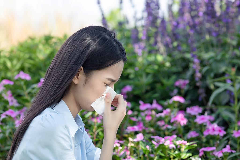 秋季花粉过敏季到来 易感人群如何防范?一文详解 秋季花粉过敏季到来 易感人群如何防范?一文详解