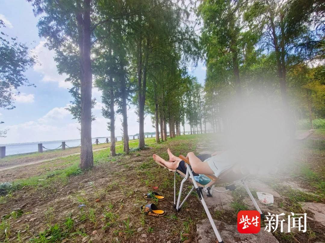 风中飘来玻璃纤维?母子湖边吹风后全身多处莫名刺痛,皮肤镜下挑出数十处细小异物 风中飘来玻璃纤维?母子湖边吹风后全身多处莫名刺痛,皮肤镜下挑出数十处细小异物