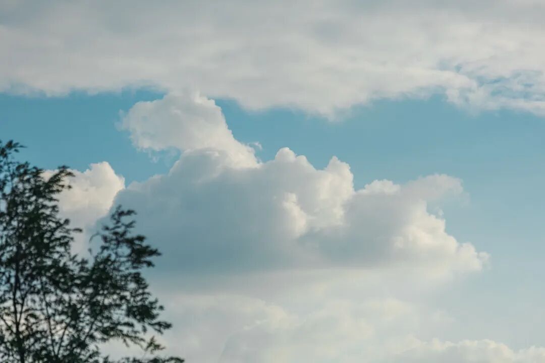 天上掉下了一朵云？！原来是……