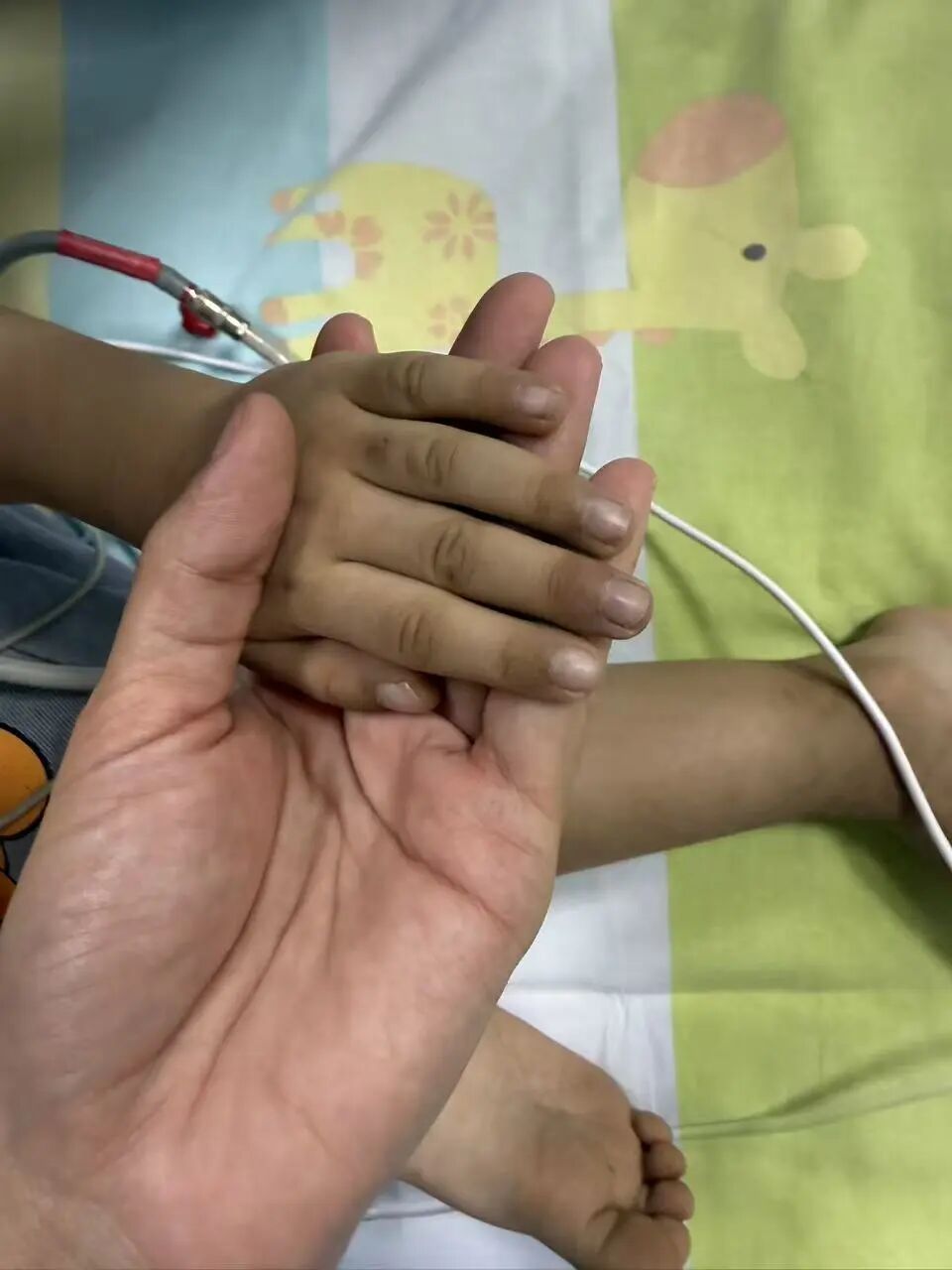 严重可致死!3岁男童中毒!很多家庭这样吃→ 严重可致死!3岁男童中毒!很多家庭这样吃→
