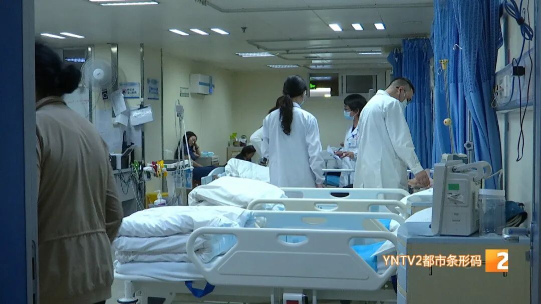 菌从云南寄,病回昆明治!男子在江苏吃见手青中毒,打车2300多公里回昆紧急救治 菌从云南寄,病回昆明治!男子在江苏吃见手青中毒,打车2300多公里回昆紧急救治