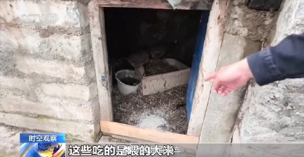 吉隆泥石流受灾群众转移后村子现状 吉隆泥石流受灾群众转移后村子现状