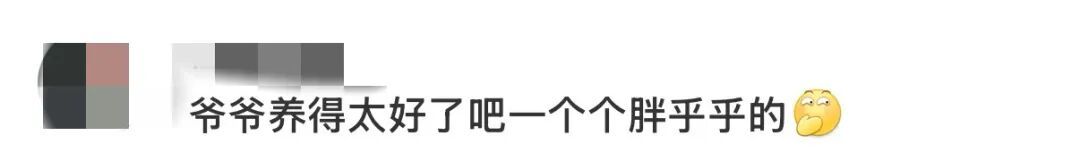 现实版“爷爷和7个葫芦娃”,突然爆火! 现实版“爷爷和7个葫芦娃”,突然爆火!
