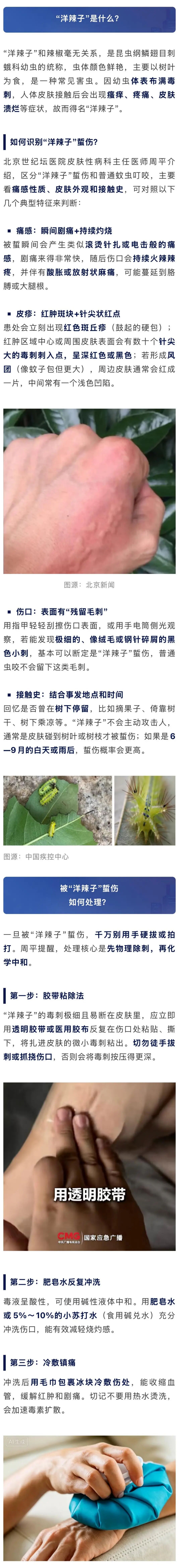瞬间剧痛+持续灼烧!近期这种毒虫频现,千万别碰 瞬间剧痛+持续灼烧!近期这种毒虫频现,千万别碰