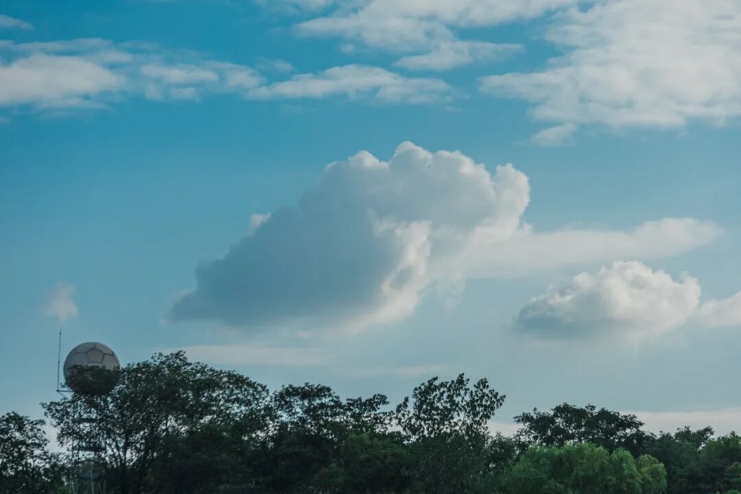 天上掉下了一朵云？！原来是……