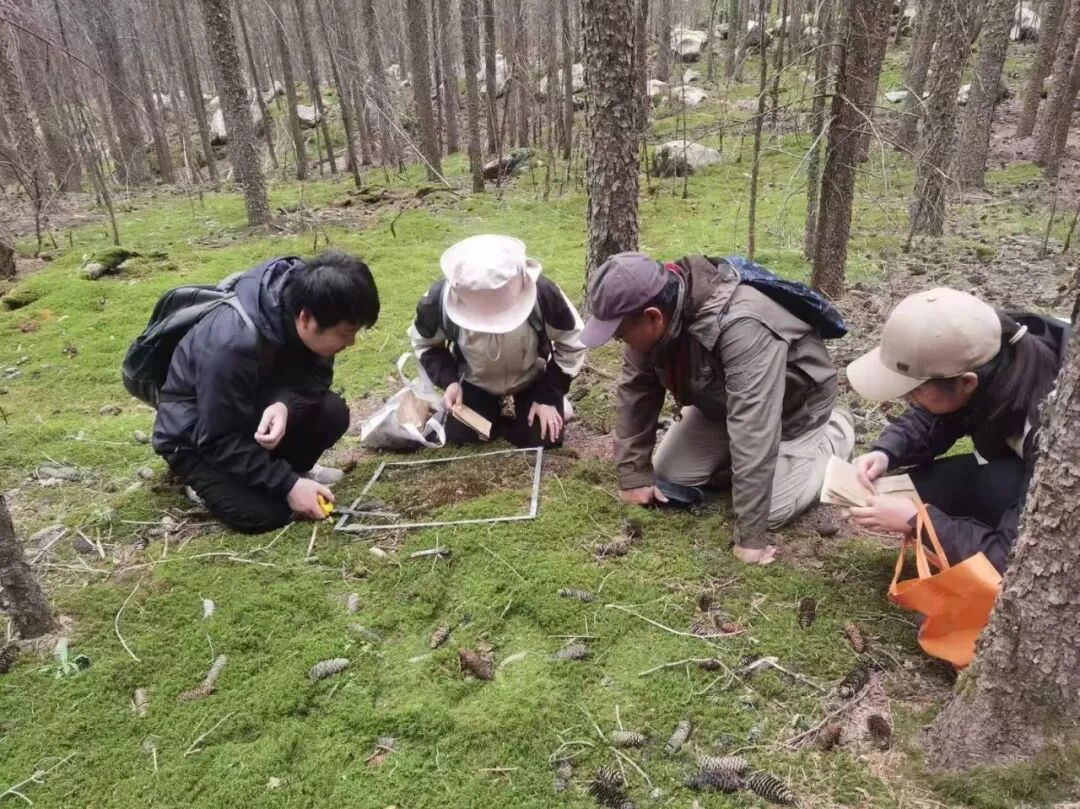 6个新物种、568种各级物种新记录!内蒙古贺兰山第二次综合科学考察取得丰硕成果 6个新物种、568种各级物种新记录!内蒙古贺兰山第二次综合科学考察取得丰硕成果