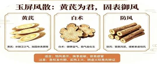 秋风起,喷嚏眼泪止不住?用好黄芪这味“补气高手”,从根上调理过敏体质 秋风起,喷嚏眼泪止不住?用好黄芪这味“补气高手”,从根上调理过敏体质