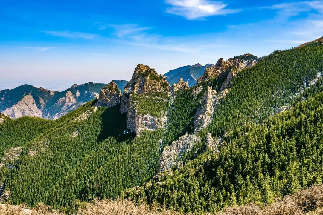 6个新物种、568种各级物种新记录!内蒙古贺兰山第二次综合科学考察取得丰硕成果 6个新物种、568种各级物种新记录!内蒙古贺兰山第二次综合科学考察取得丰硕成果