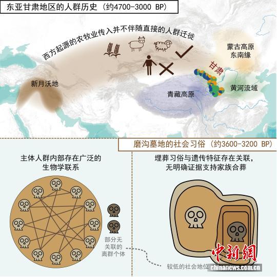史前甘肃人群为何形成独特遗传演化和社会结构？古基因组研究揭示