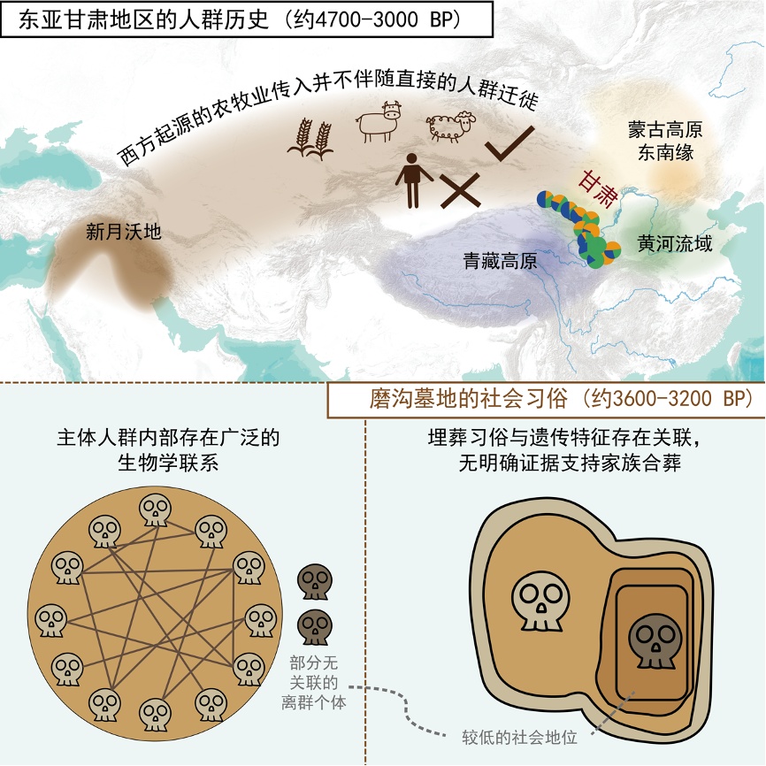 小麦、青铜器等如何传入我国西北?科学家耗时12年破解真相 小麦、青铜器等如何传入我国西北?科学家耗时12年破解真相