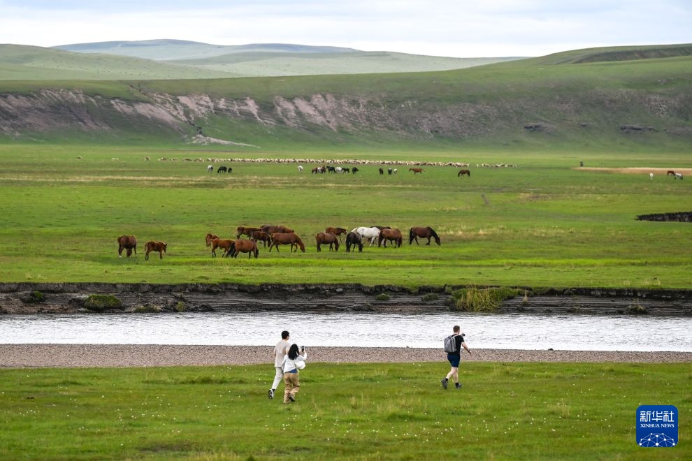向山向海、宝藏小城...... 盘点今年暑运这些热词 向山向海、宝藏小城...... 盘点今年暑运这些热词