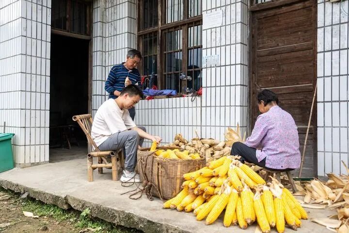 “8个鸡蛋”少年贺永辉，上大学前先当了“贺老师”