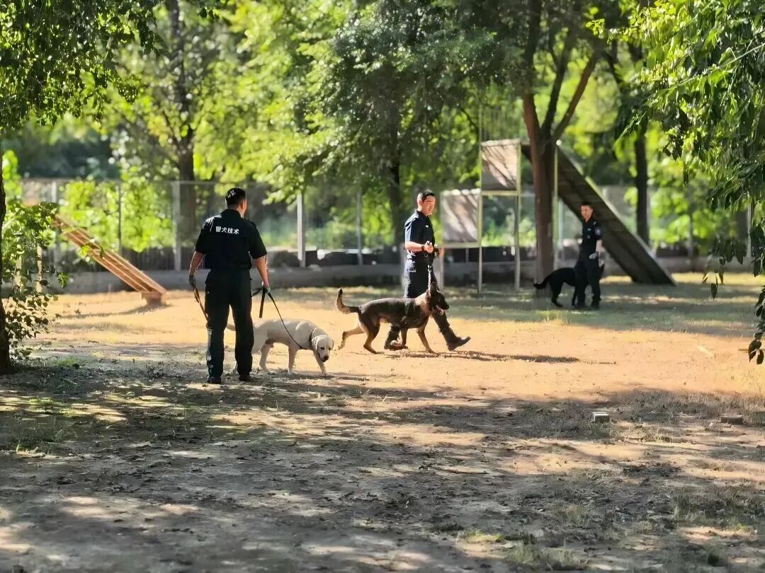 是谁又羡慕了？北京这所高校发“小狗”了……