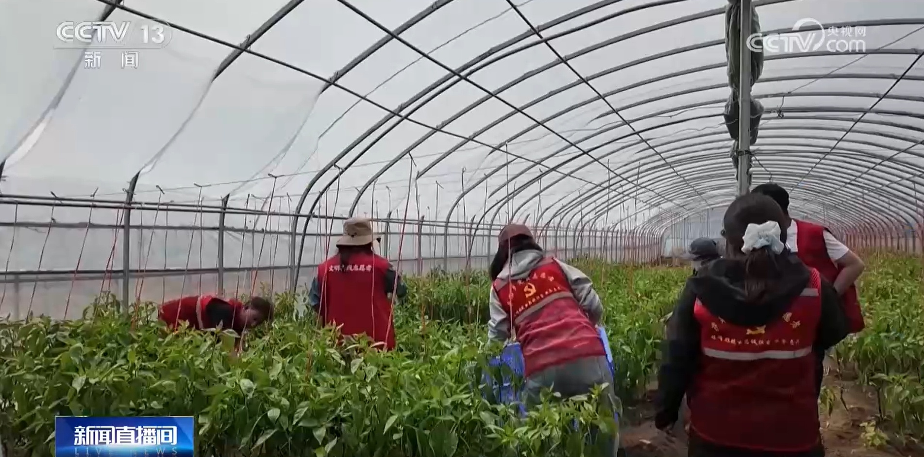 西藏吉隆:村民撤离 但家园没有荒芜 党员先锋队替乡亲们守护家园 西藏吉隆:村民撤离 但家园没有荒芜 党员先锋队替乡亲们守护家园