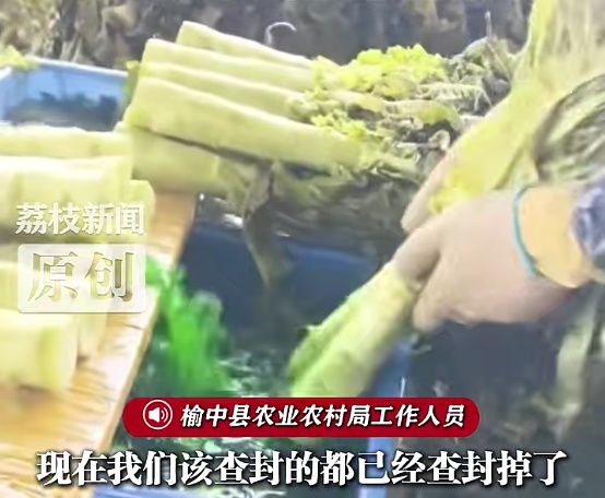 有人疑用不明液体染色莴笋?官方通报:属实,6家涉事企业已被立案查处! 有人疑用不明液体染色莴笋?官方通报:属实,6家涉事企业已被立案查处!