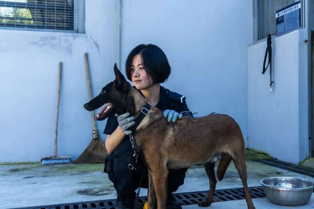 是谁又羡慕了？北京这所高校发“小狗”了……