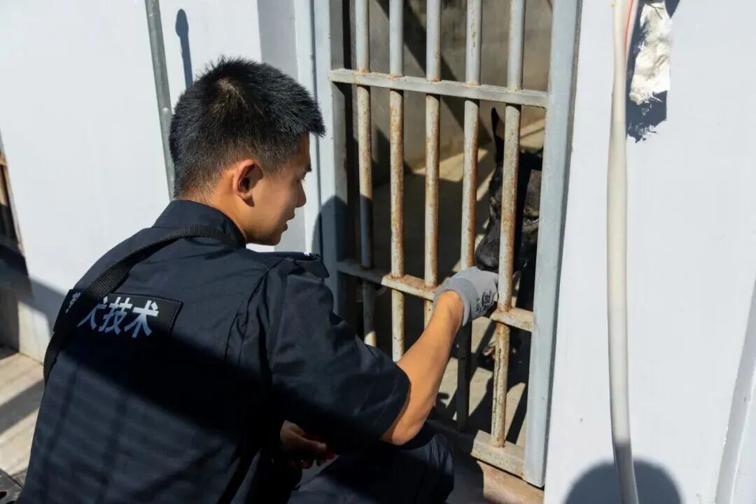 是谁又羡慕了？北京这所高校发“小狗”了……