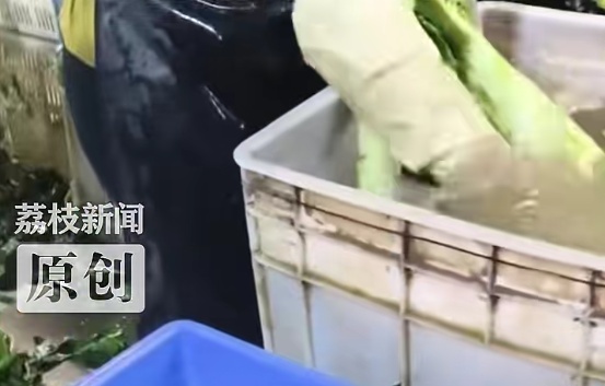 有人疑用不明液体染色莴笋?官方通报:属实,6家涉事企业已被立案查处! 有人疑用不明液体染色莴笋?官方通报:属实,6家涉事企业已被立案查处!