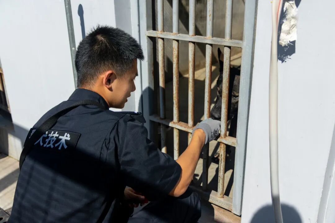对！他们发“小狗”了……是谁又羡慕了？