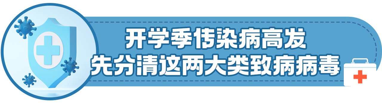 家长必看!开学季,这两大类病毒孩子最易中招 家长必看!开学季,这两大类病毒孩子最易中招