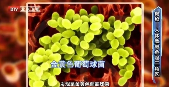 很多人爱囤的外卖保温袋可能甲醛超标 安全使用建议→ 很多人爱囤的外卖保温袋可能甲醛超标 安全使用建议→