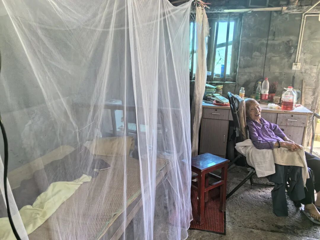 浙江104岁阿婆每天睡觉18个小时!78岁儿媳:她一年要喝15斤杨梅酒 浙江104岁阿婆每天睡觉18个小时!78岁儿媳:她一年要喝15斤杨梅酒