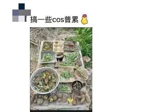 “小时候怎么能玩上一整天？”这些童年日常，谁看了不熟悉……