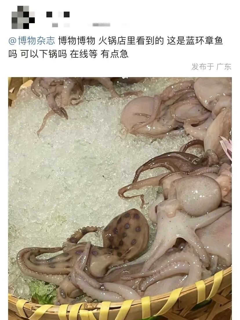 少量即可致命!女子买海鲜混入小螃蟹,炒熟想留给女儿吃…… 少量即可致命!女子买海鲜混入小螃蟹,炒熟想留给女儿吃……