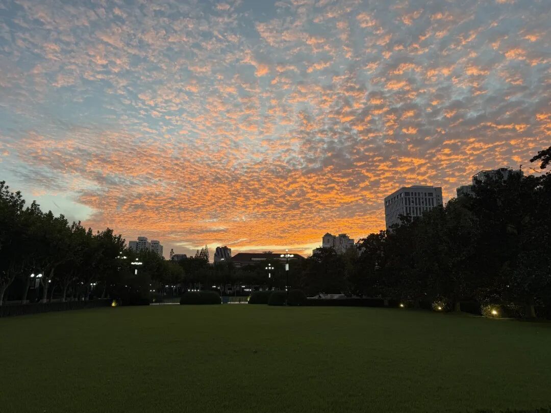 上海人的朋友圈昨晚刷屏!网友惊叹:不需要任何美颜 上海人的朋友圈昨晚刷屏!网友惊叹:不需要任何美颜