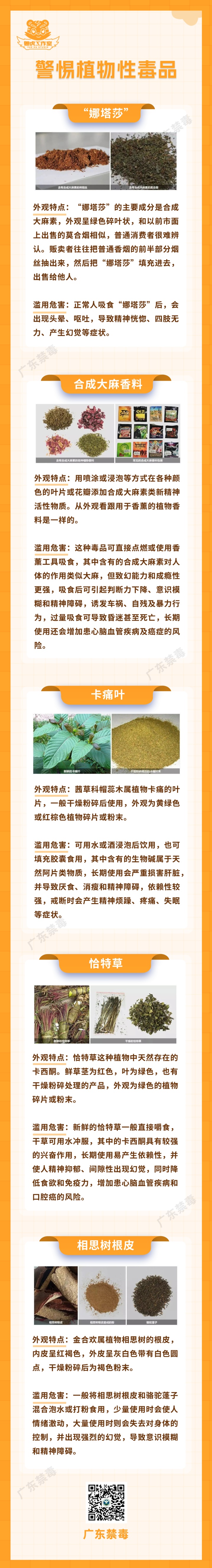 开学了，煲什么汤好？这些“毒”材千万别下锅
