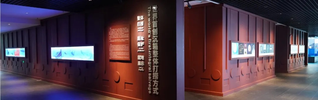 “00后”姑娘跨越3300公里，从黑龙江到阳江，只为做这件事……