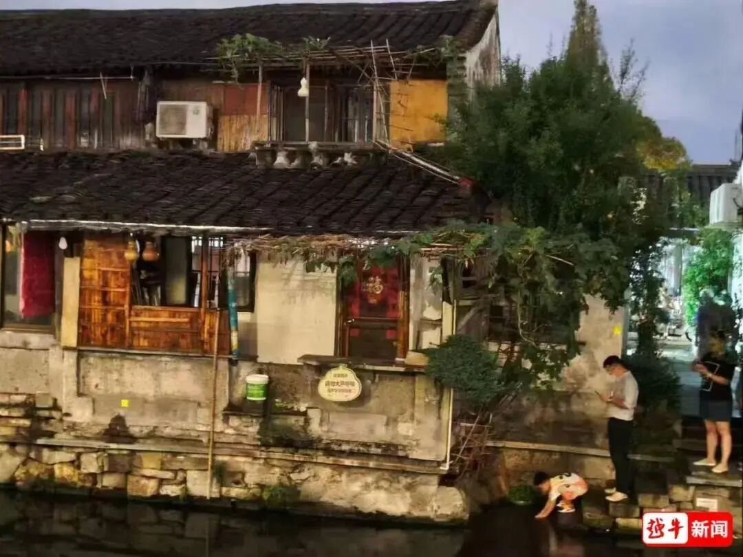 绍兴“七个葫芦娃”,被爷爷收回家了 绍兴“七个葫芦娃”,被爷爷收回家了