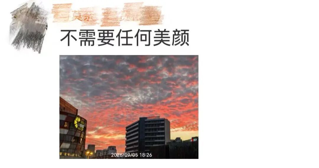 上海人的朋友圈昨晚刷屏!网友惊叹:不需要任何美颜 上海人的朋友圈昨晚刷屏!网友惊叹:不需要任何美颜