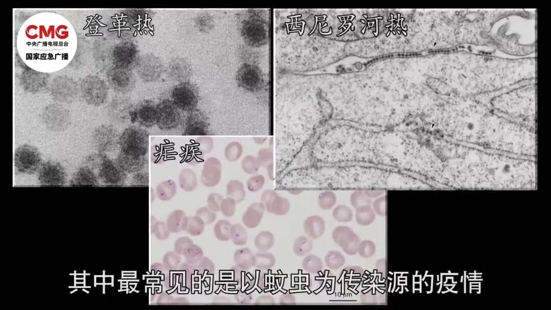 被暴雨洪水泡过的饮料，没开封也不要喝
