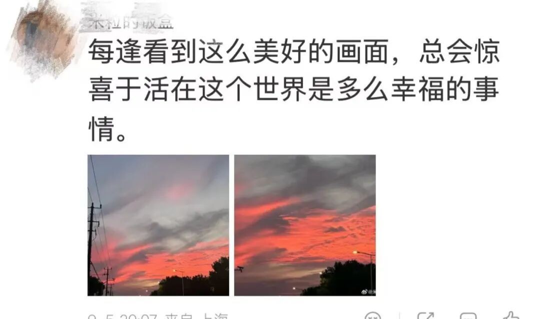 上海人的朋友圈昨晚刷屏!网友惊叹:不需要任何美颜 上海人的朋友圈昨晚刷屏!网友惊叹:不需要任何美颜