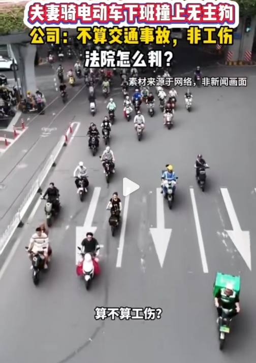 夫妻下班途中被狗撞骨折,公司报工伤后突然反悔称:狗不是驾驶员;法院判了 夫妻下班途中被狗撞骨折,公司报工伤后突然反悔称:狗不是驾驶员;法院判了