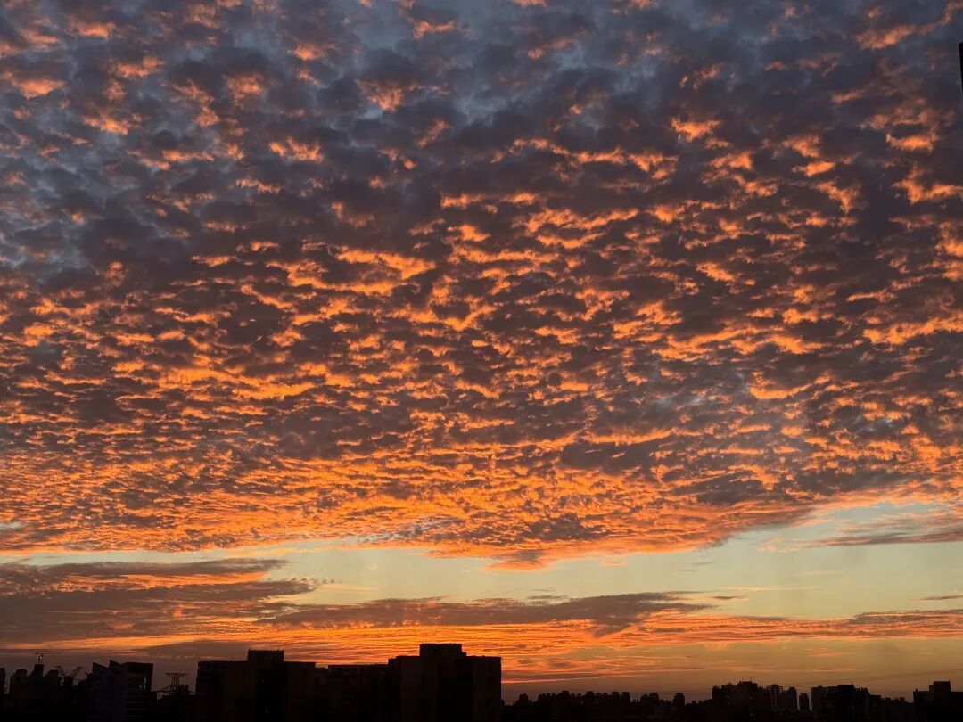 上海人的朋友圈昨晚刷屏!网友惊叹:不需要任何美颜 上海人的朋友圈昨晚刷屏!网友惊叹:不需要任何美颜