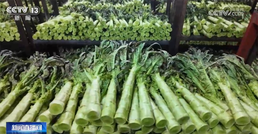 超范围使用!莴笋违规添加“果绿” 甘肃榆中6家蔬菜收购企业被查处 超范围使用!莴笋违规添加“果绿” 甘肃榆中6家蔬菜收购企业被查处