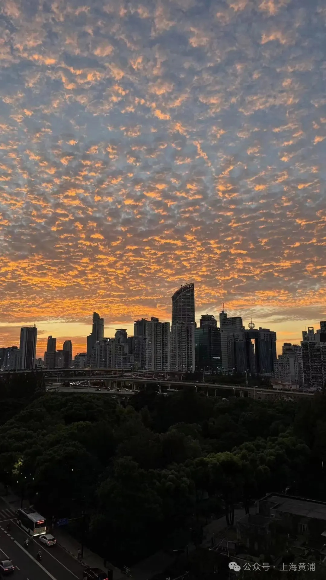 上海人的朋友圈昨晚刷屏!网友惊叹:不需要任何美颜 上海人的朋友圈昨晚刷屏!网友惊叹:不需要任何美颜