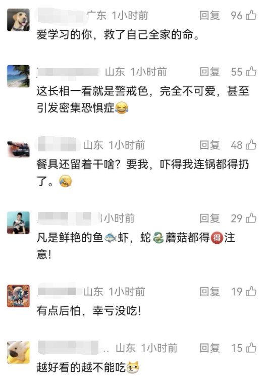 女子买海鲜混入小螃蟹,炒熟后想留给女儿吃,被认出是剧毒红斑斗蟹,少量即可致命 女子买海鲜混入小螃蟹,炒熟后想留给女儿吃,被认出是剧毒红斑斗蟹,少量即可致命