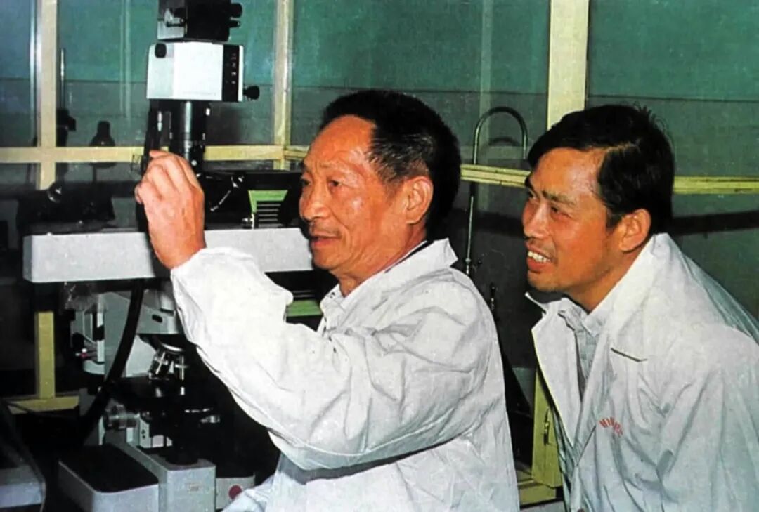 今天，我们格外怀念您……