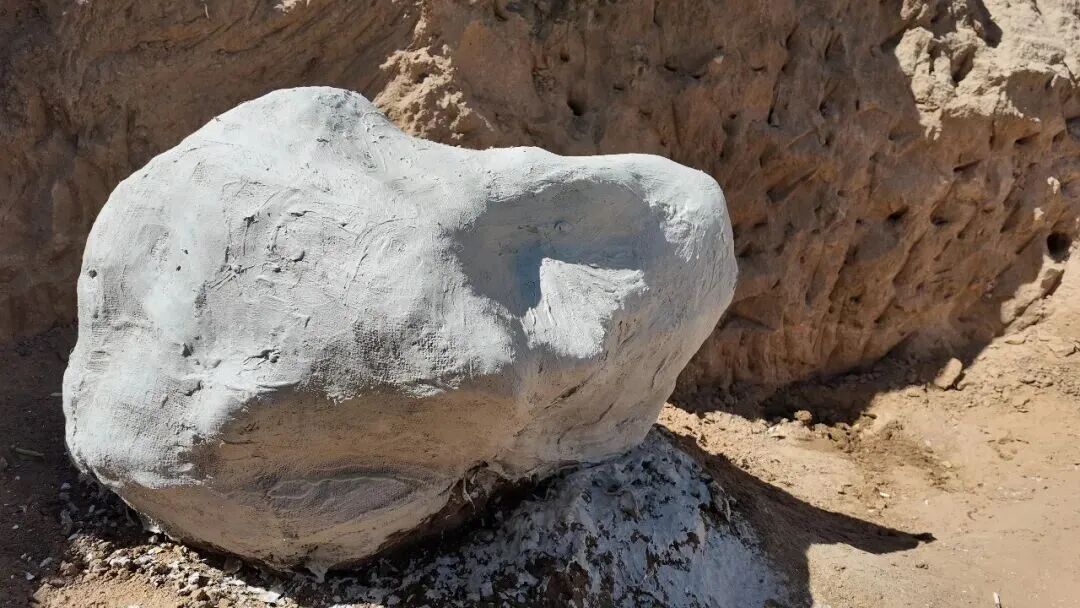 距今约20万年,内蒙古一地有重大发现 距今约20万年,内蒙古一地有重大发现
