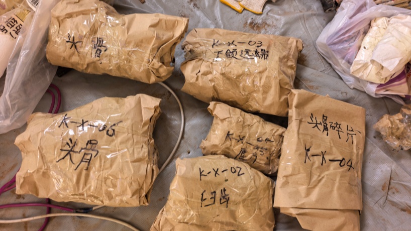 距今约20万年,内蒙古一地有重大发现 距今约20万年,内蒙古一地有重大发现