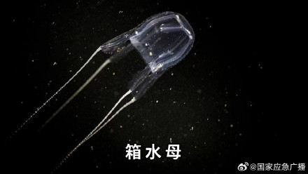 海鲜季警惕这些毒物 海鲜季警惕这些毒物