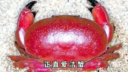 海鲜季警惕这些毒物 海鲜季警惕这些毒物