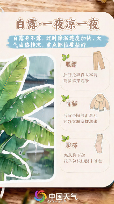 节气手账 | 凉风有信 白露为霜 节气手账 | 凉风有信 白露为霜