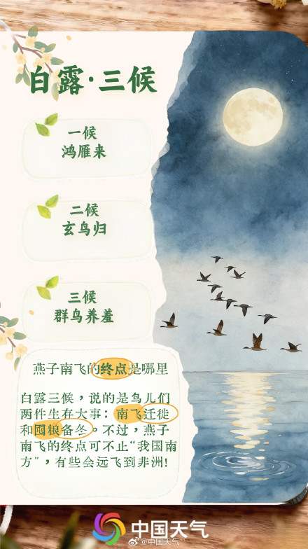 节气手账 | 凉风有信 白露为霜 节气手账 | 凉风有信 白露为霜