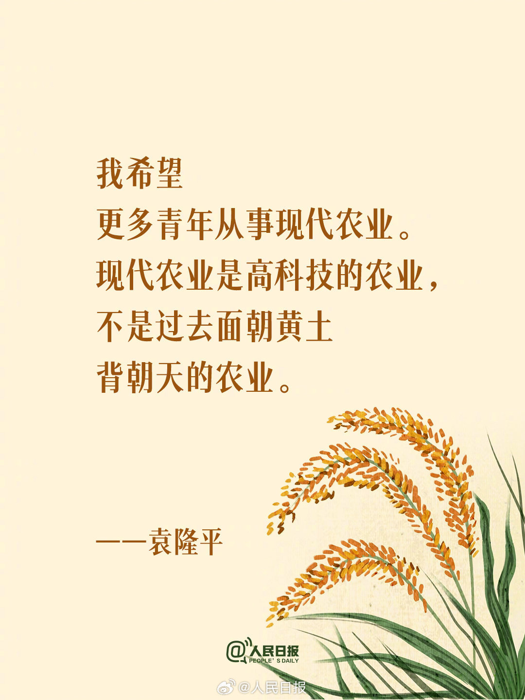 开学季,读袁隆平送给年轻人的9句话 开学季,读袁隆平送给年轻人的9句话